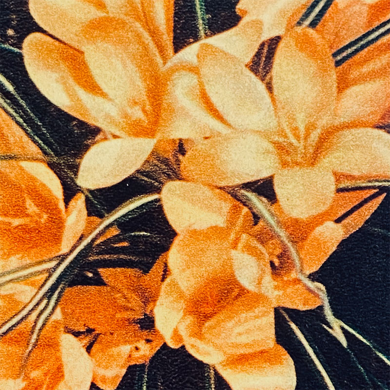 Postcard Crocusus "Pravda", USSR, 1960s