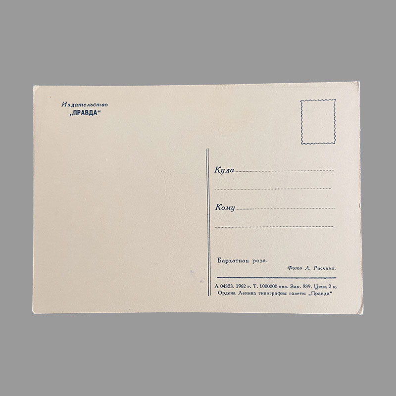 Postcard Velvet Rose "Pravda", USSR, 1960s
