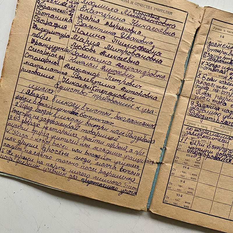 School diary, Alexandr, Ukrainian SSR, 1971-1972