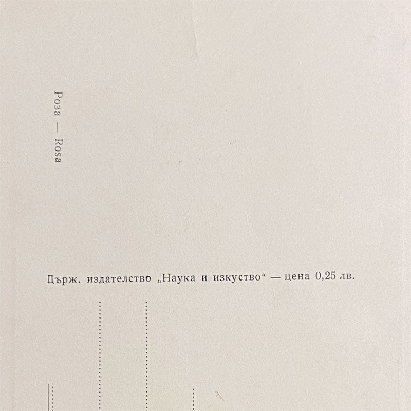 Postcard Rose "Country publishing house, Science and Art", Bulgaria, 1960s