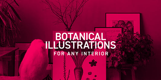 Botanical illustrations for any interior