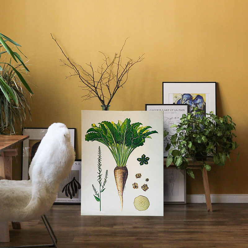 Botanical print / illustration, "Sugar beet", by Peter Ivanov, "Sofia-press", Bulgaria, 1970s