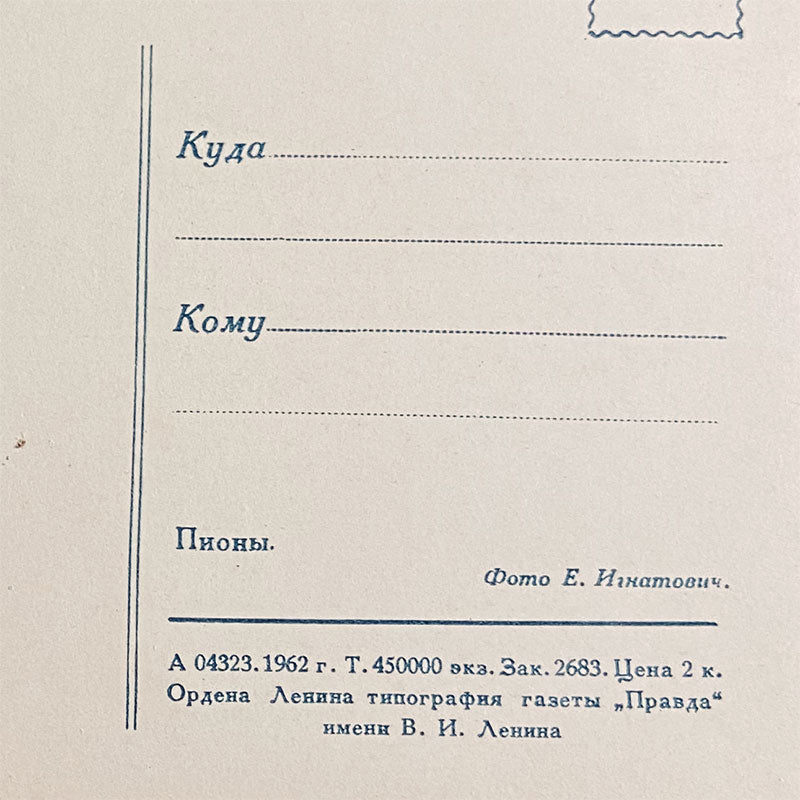 Postcard Peonies "Pravda", USSR, 1960s