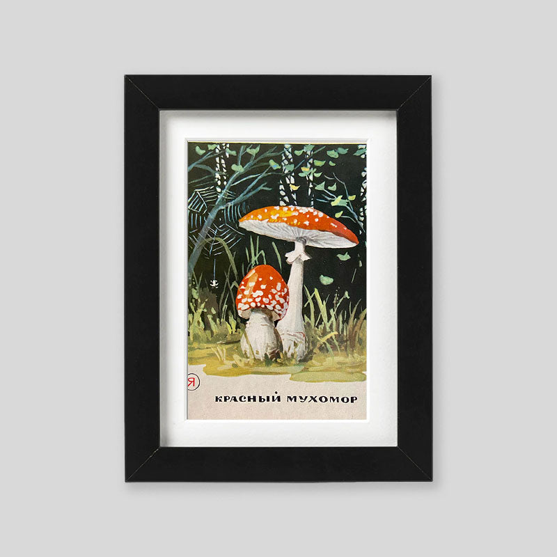 Postcard set with mushroom artworks, Moscow, USSR, 1971