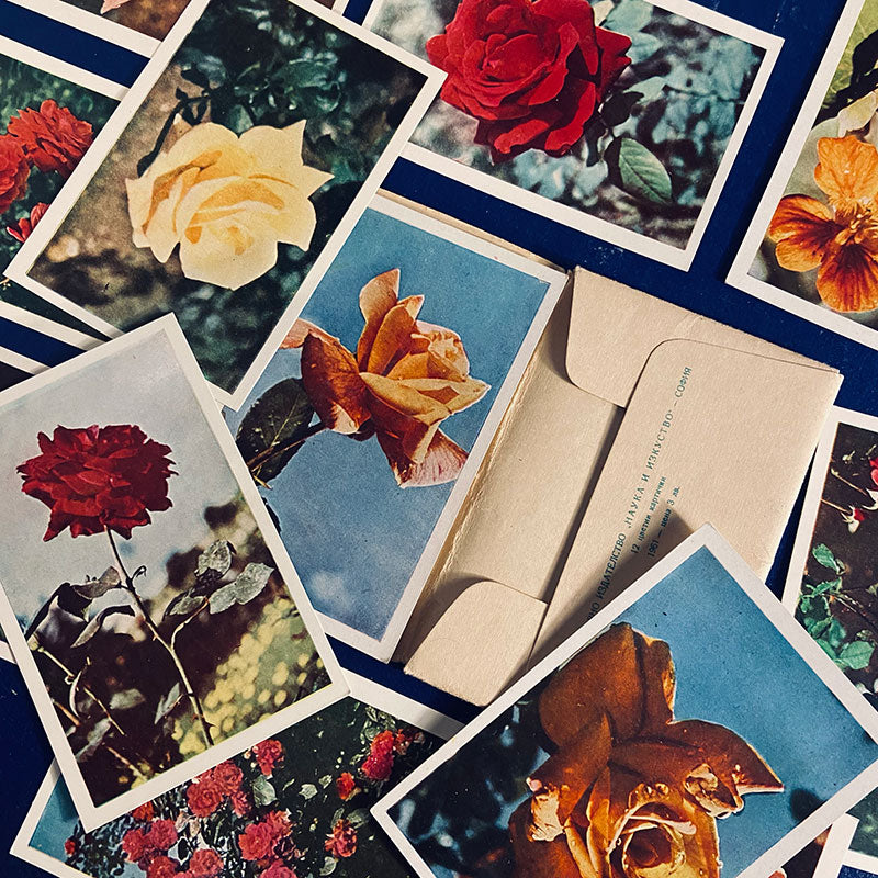 Postcard set with photos of flowers, mostly Roses, Bulgaria, 1961