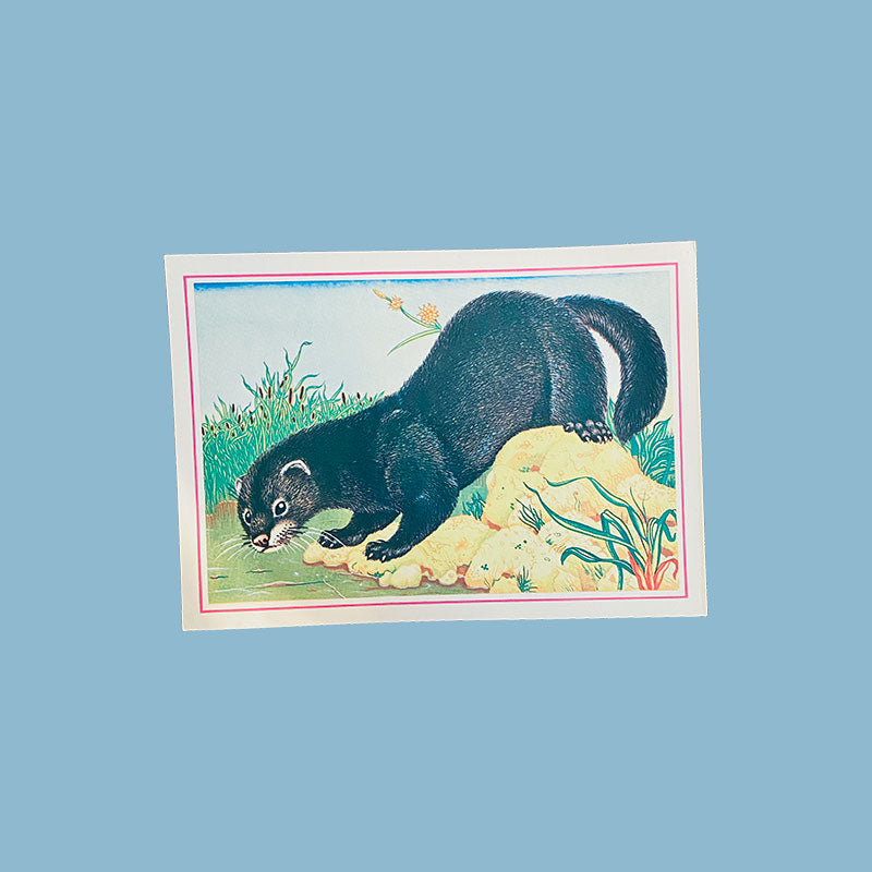 Postcard set wild animals by illustrator Edgar Folks, Latvian SSR, 1987