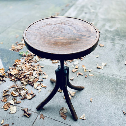 Bentwood beech swivel piano stool, Austria / Czechoslovakia, 1900s