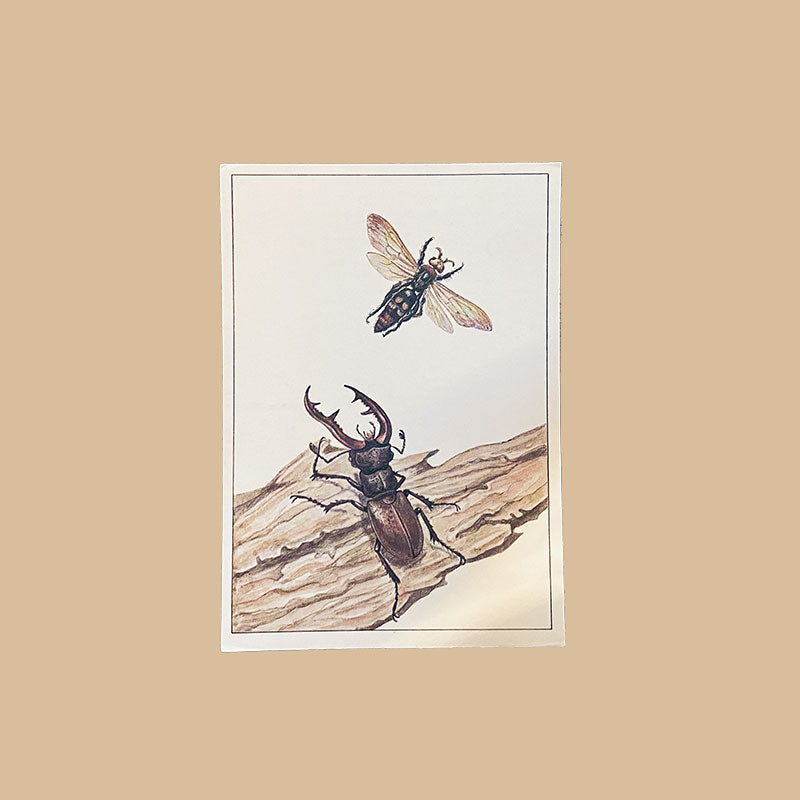 Postcard set vintage Entomology Russian butterfly illustrations N.M. Dieva (Н.М. Диева), Fine Arts, Moscow, 1987, USSR / Soviet Union