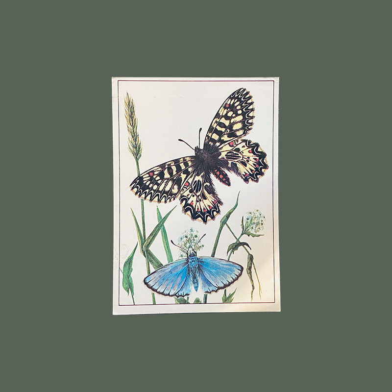 butterfly STAMP USSR RUSSIA 1987 set fauna insect butterfly USED