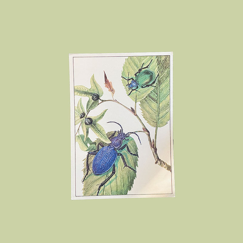 Postcard set vintage Entomology Russian butterfly illustrations N.M. Dieva (Н.М. Диева), Fine Arts, Moscow, 1987, USSR / Soviet Union