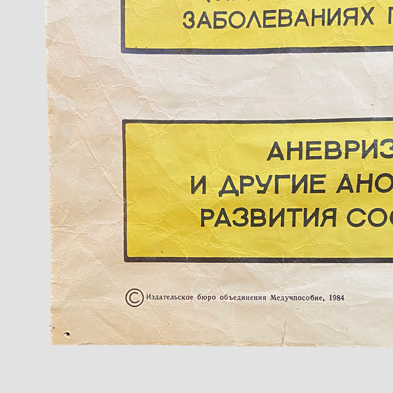 Etiology of cerebrovascular accidents, Medical poster, Ukrainian SSR, 1984